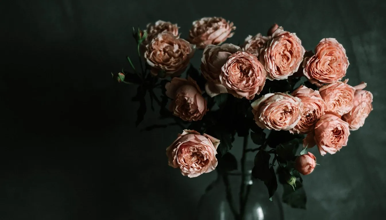 Bouquet of dusty pink roses